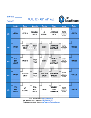 focus t25 workout schedule